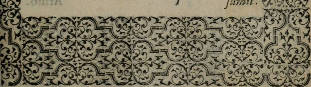 An illustration from Hadriani Iunii medici Emblemata, 1565, leaf 132