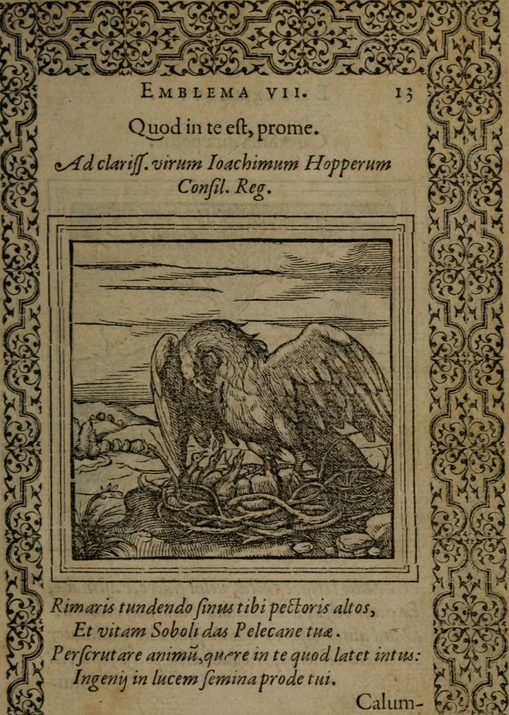 An illustration from Hadriani Iunii medici Emblemata, 1565, leaf 16