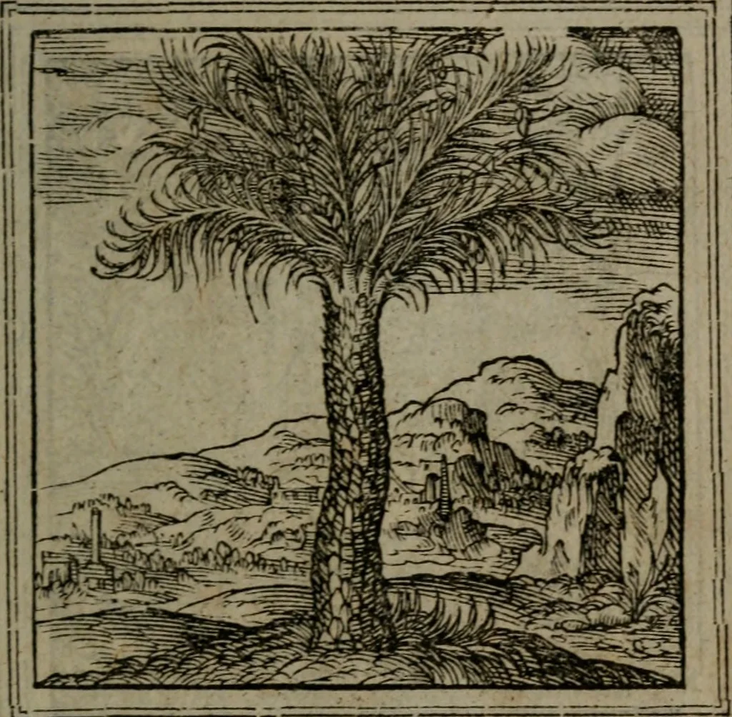 An illustration from Hadriani Iunii medici Emblemata, 1565, leaf 32