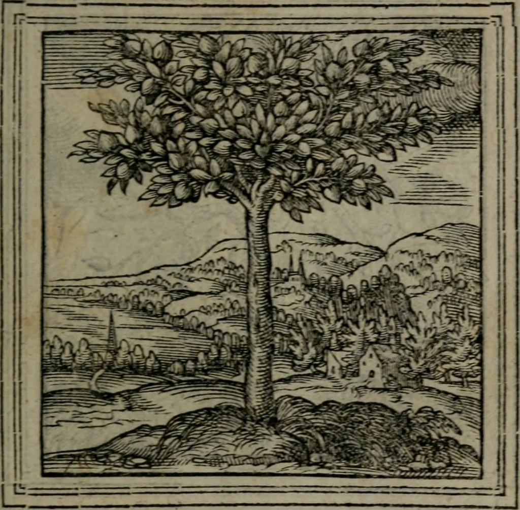 An illustration from Hadriani Iunii medici Emblemata, 1565, leaf 36