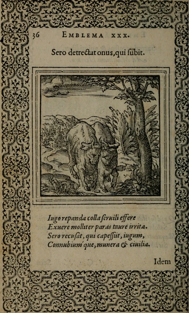 An illustration from Hadriani Iunii medici Emblemata, 1565, leaf 39