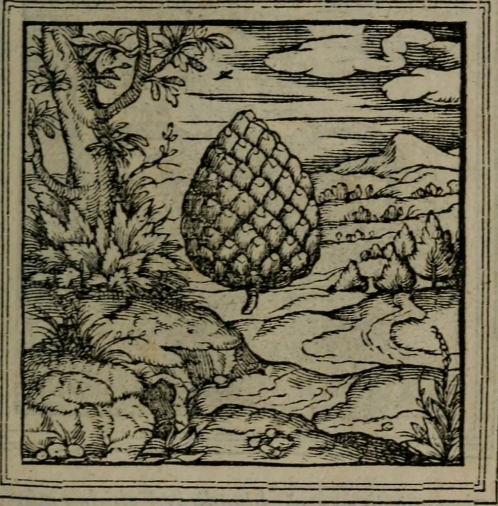 An illustration from Hadriani Iunii medici Emblemata, 1565, leaf 46