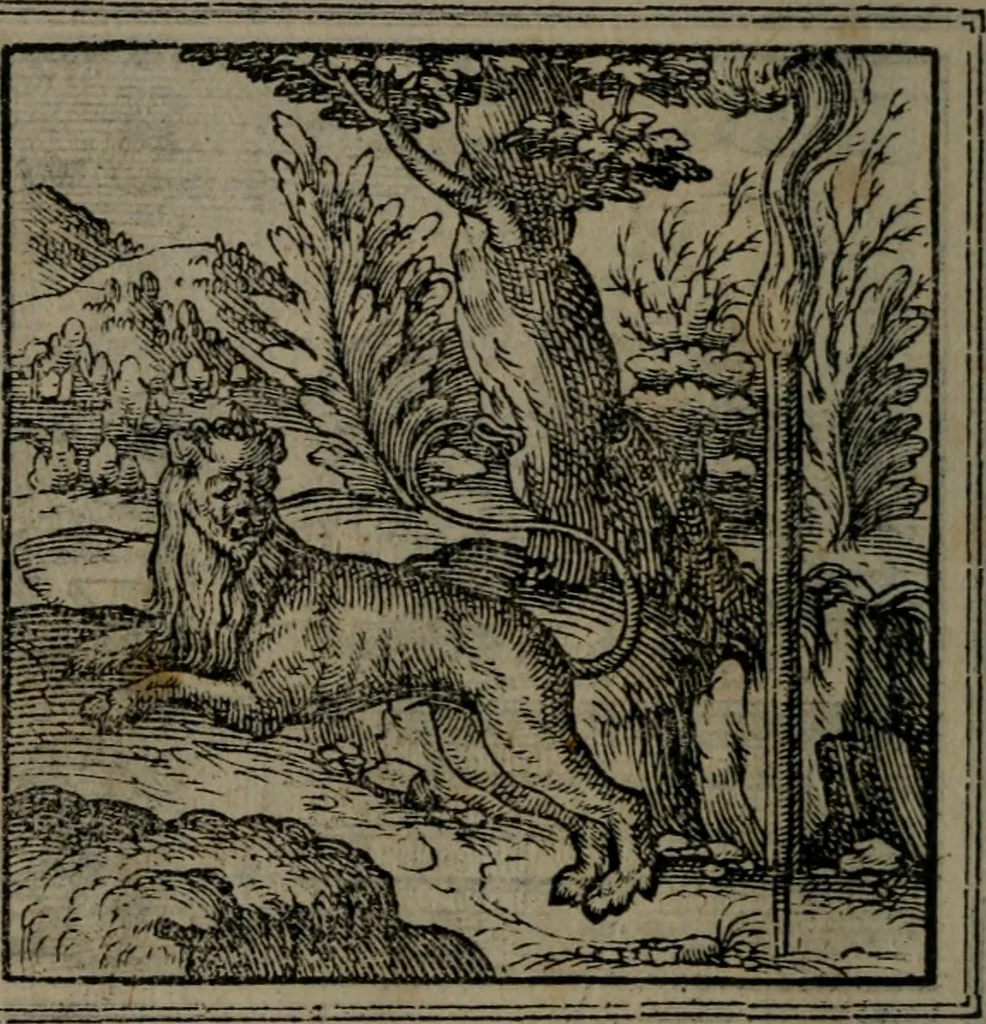 An illustration from Hadriani Iunii medici Emblemata, 1565, leaf 55