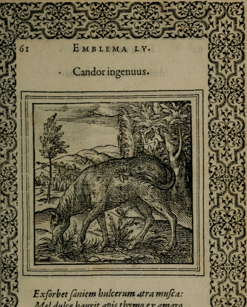 An illustration from Hadriani Iunii medici Emblemata, 1565, leaf 64