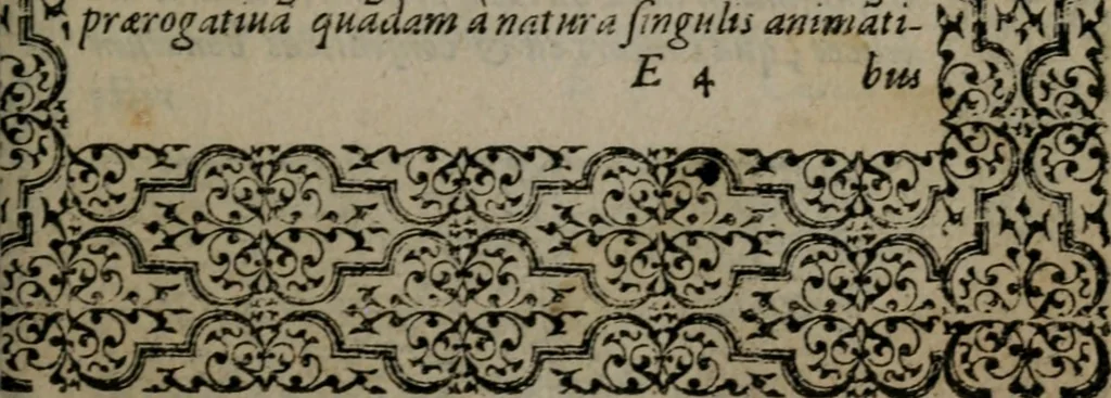 An illustration from Hadriani Iunii medici Emblemata, 1565, leaf 74
