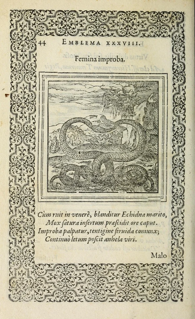 An illustration from Hadriani Ivnii medici Emblemata : eivsdem Aenigmatvm libellus, 1565, leaf 52
