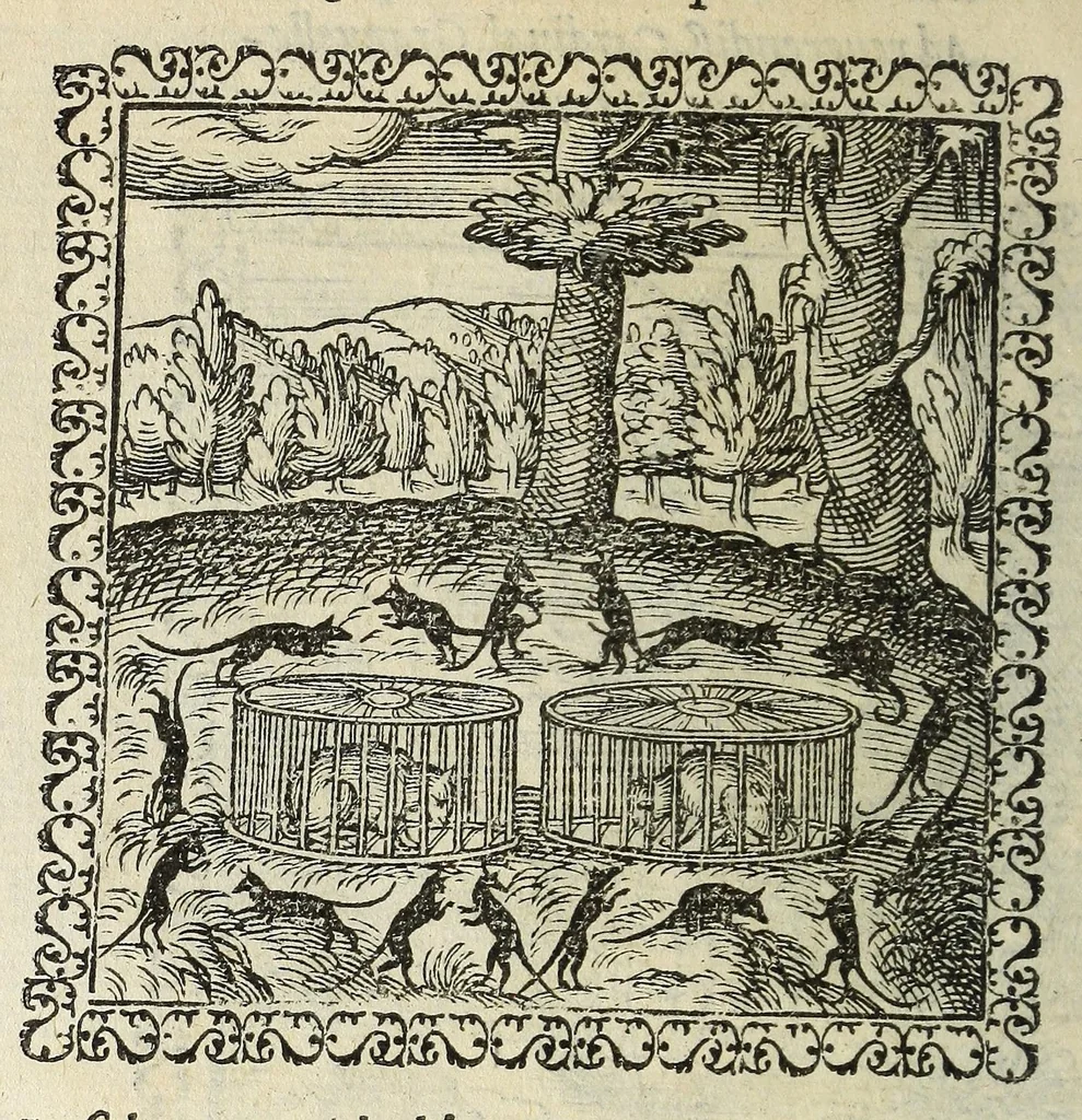 An illustration from Hadriani Ivnii medici Emblemata. Eivsdem Aenigmatvm libellvs, 1566, leaf 14