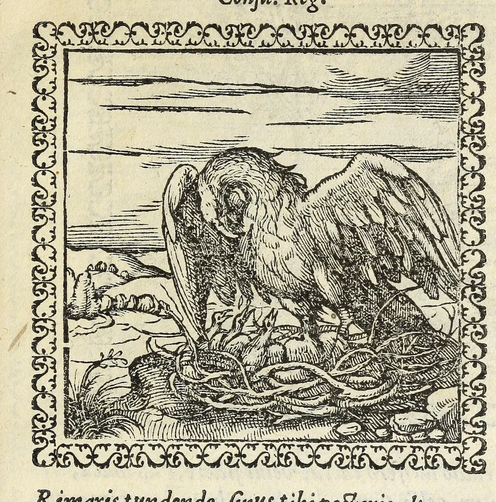 An illustration from Hadriani Ivnii medici Emblemata. Eivsdem Aenigmatvm libellvs, 1566, leaf 17