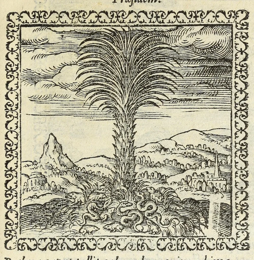 An illustration from Hadriani Ivnii medici Emblemata. Eivsdem Aenigmatvm libellvs, 1566, leaf 19