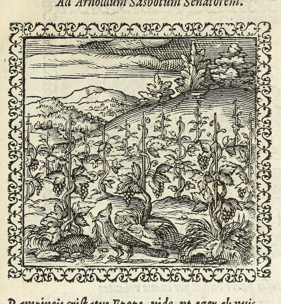 An illustration from Hadriani Ivnii medici Emblemata. Eivsdem Aenigmatvm libellvs, 1566, leaf 25