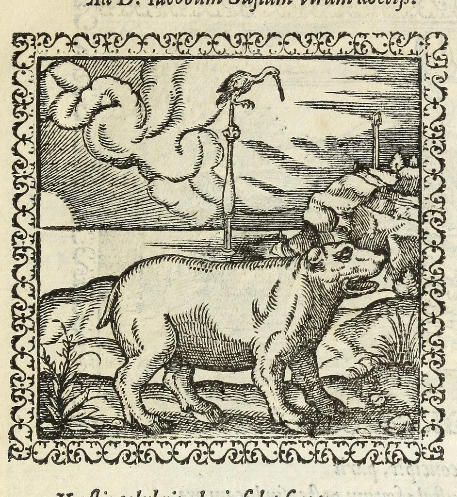 An illustration from Hadriani Ivnii medici Emblemata. Eivsdem Aenigmatvm libellvs, 1566, leaf 27