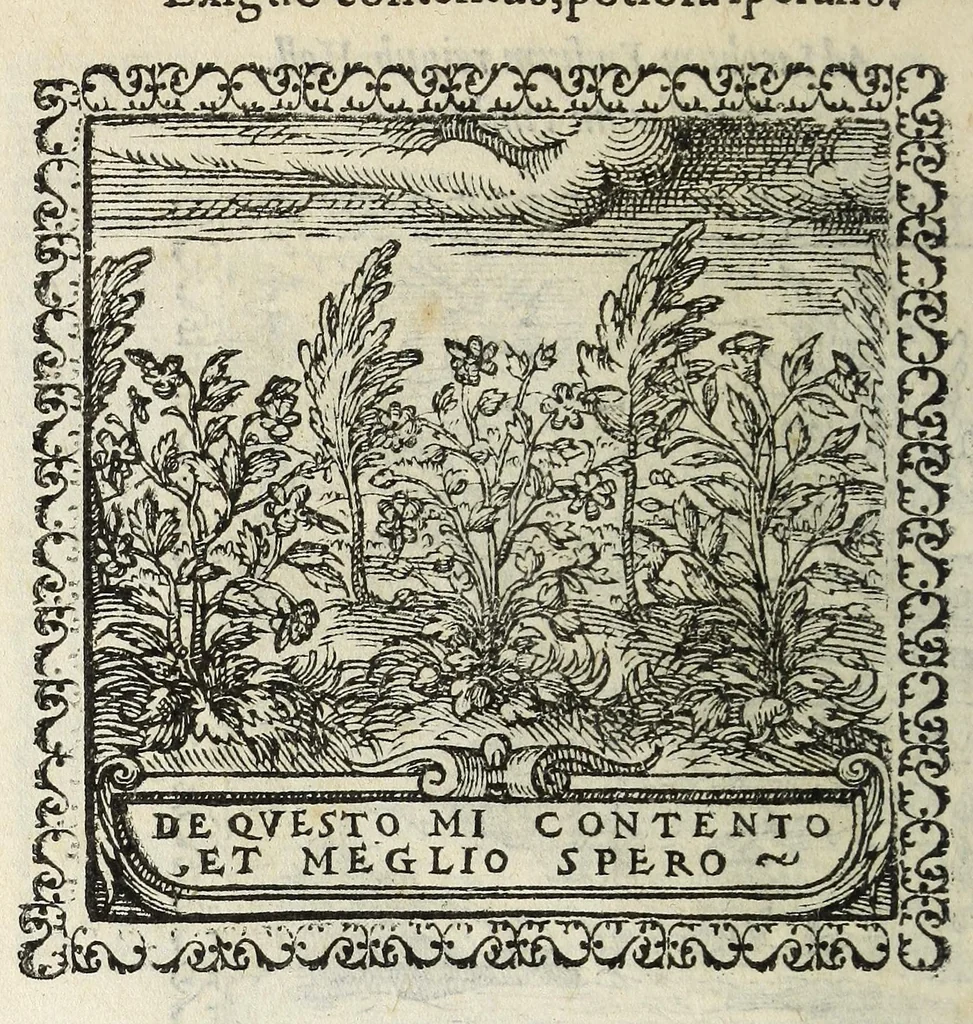 An illustration from Hadriani Ivnii medici Emblemata. Eivsdem Aenigmatvm libellvs, 1566, leaf 30