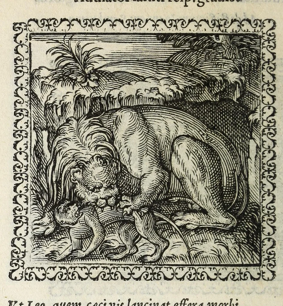 An illustration from Hadriani Ivnii medici Emblemata. Eivsdem Aenigmatvm libellvs, 1566, leaf 32