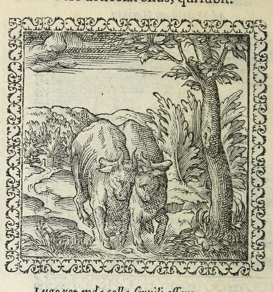 An illustration from Hadriani Ivnii medici Emblemata. Eivsdem Aenigmatvm libellvs, 1566, leaf 40