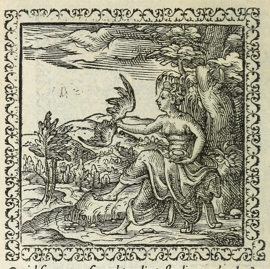 An illustration from Hadriani Ivnii medici Emblemata. Eivsdem Aenigmatvm libellvs, 1566, leaf 42