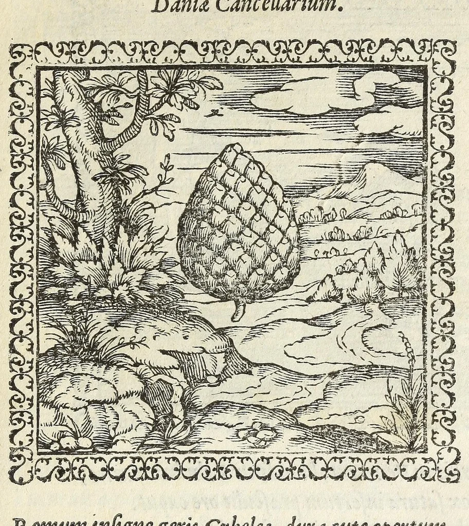 An illustration from Hadriani Ivnii medici Emblemata. Eivsdem Aenigmatvm libellvs, 1566, leaf 47