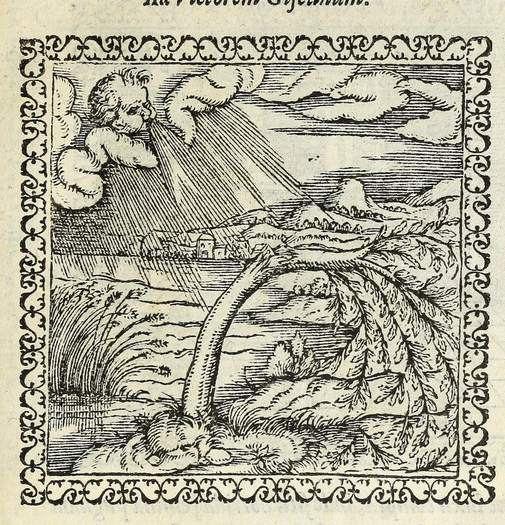 An illustration from Hadriani Ivnii medici Emblemata. Eivsdem Aenigmatvm libellvs, 1566, leaf 53