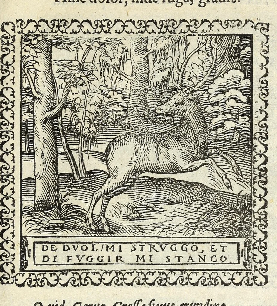 An illustration from Hadriani Ivnii medici Emblemata. Eivsdem Aenigmatvm libellvs, 1566, leaf 57