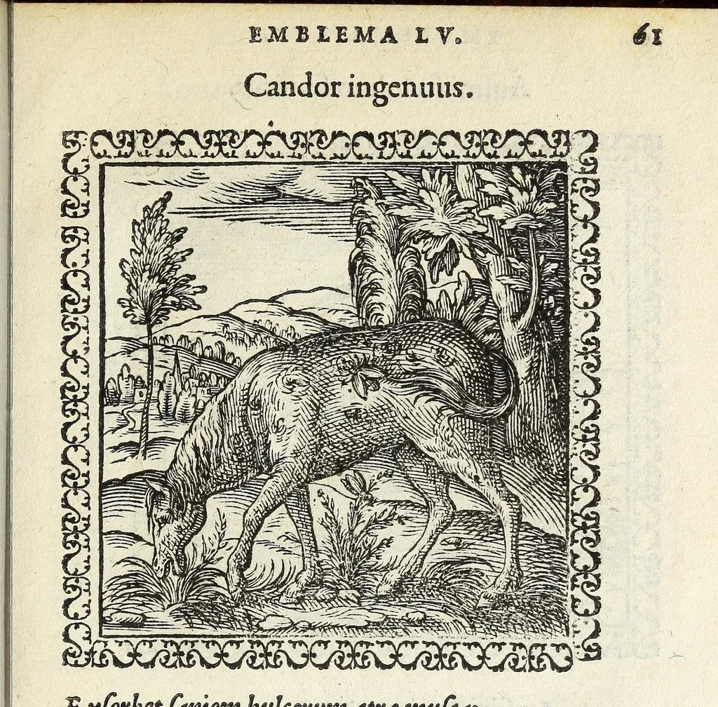 An illustration from Hadriani Ivnii medici Emblemata. Eivsdem Aenigmatvm libellvs, 1566, leaf 65