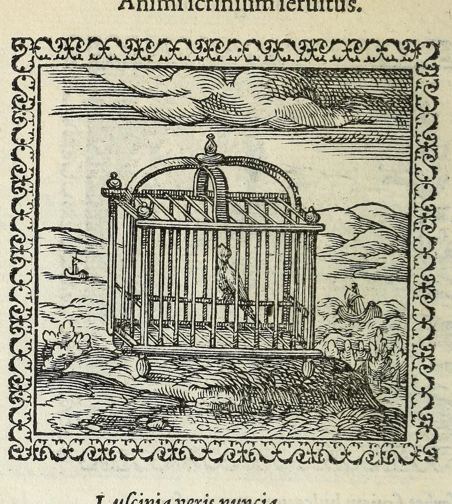 An illustration from Hadriani Ivnii medici Emblemata. Eivsdem Aenigmatvm libellvs, 1566, leaf 66