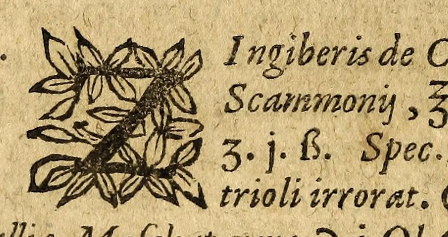 An illustration from Hadriani a Mynsicht, medici Germani praestantissimi, Thesaurus et armamentarium medico-chymicum. : In quo selectissimorum contra quosuis morbos pharmacorum conficiendorum secretissima ratio aperitur, vnà cum eorumdem virtute, vsu, & dosi. Cui in fine adiunctum est Testamentum Hadrianeum de aureo philosophorum lapide, 1641, leaf 266