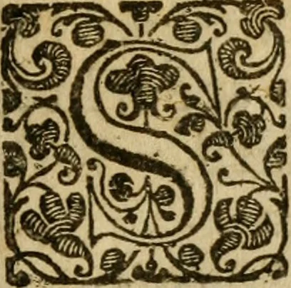 An illustration from Haec homo : wherein the excellency of the creation of woman is described, by way of an essay, 1639, leaf 34