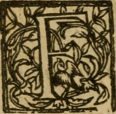 An illustration from Haec homo : wherein the excellency of the creation of woman is described, by way of an essay, 1639, leaf 91