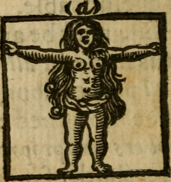 An illustration from Haec homo : wherein the excellency of the creation of woman is described, by way of an essay, 1639, leaf 95