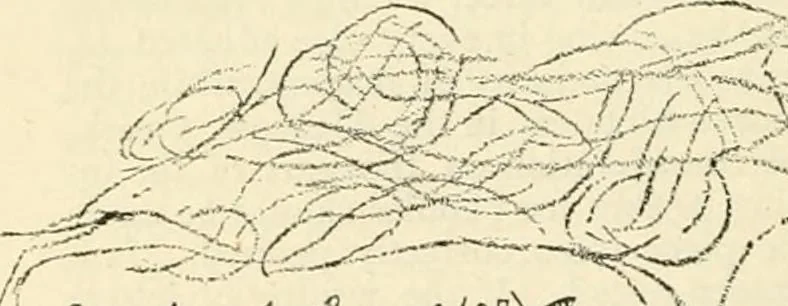 An illustration from Hafed, prince of Persia : his experiences in earth-life and spirit-life ; being spirit communications received through Mr. David Duguid, the Glasgow trance-painting medium ; with an appendix, containing communications from the spirit artists, Ruisdal and Steen, 1876, leaf 607