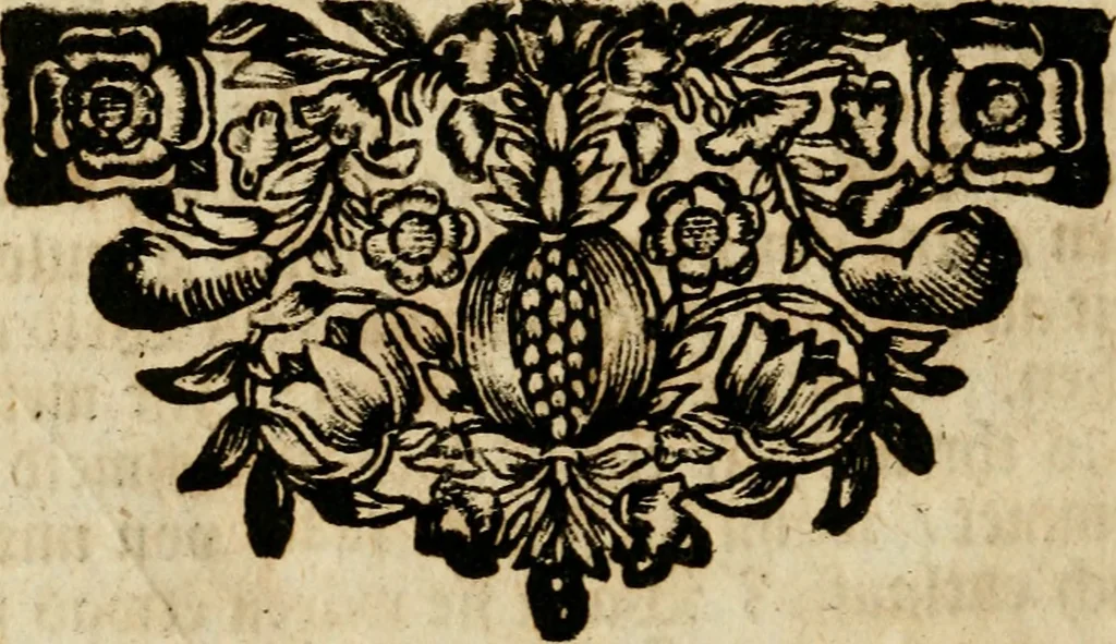 An illustration from Haimb-Garten zweyen Herren von Augspurg, eines Catholischen, und eines Lutherischen, angestellt uber etwelche Glaubens-Zweiffel, und in den Druck hervor gegeben, 1710, leaf 219