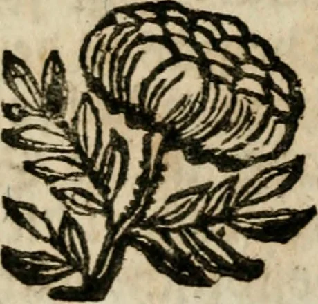 An illustration from Haimb-Garten zweyen Herren von Augspurg, eines Catholischen, und eines Lutherischen, angestellt uber etwelche Glaubens-Zweiffel, und in den Druck hervor gegeben, 1710, leaf 236