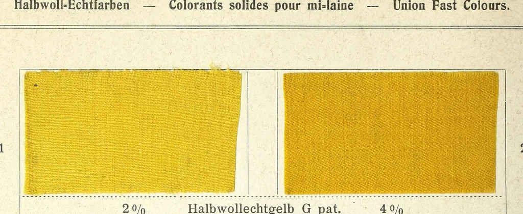 An illustration from Halbwoll-Echtfarben = Colorants solides pour mi-laine = Union fast colours, 1890, leaf 6