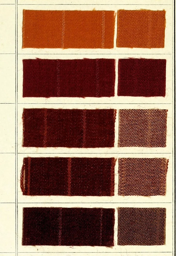 An illustration from Halbwollfarben für Kleiderfärber = Couleurs sur mi-laine pour teinturiers-dégraisseurs, 1910, leaf 5
