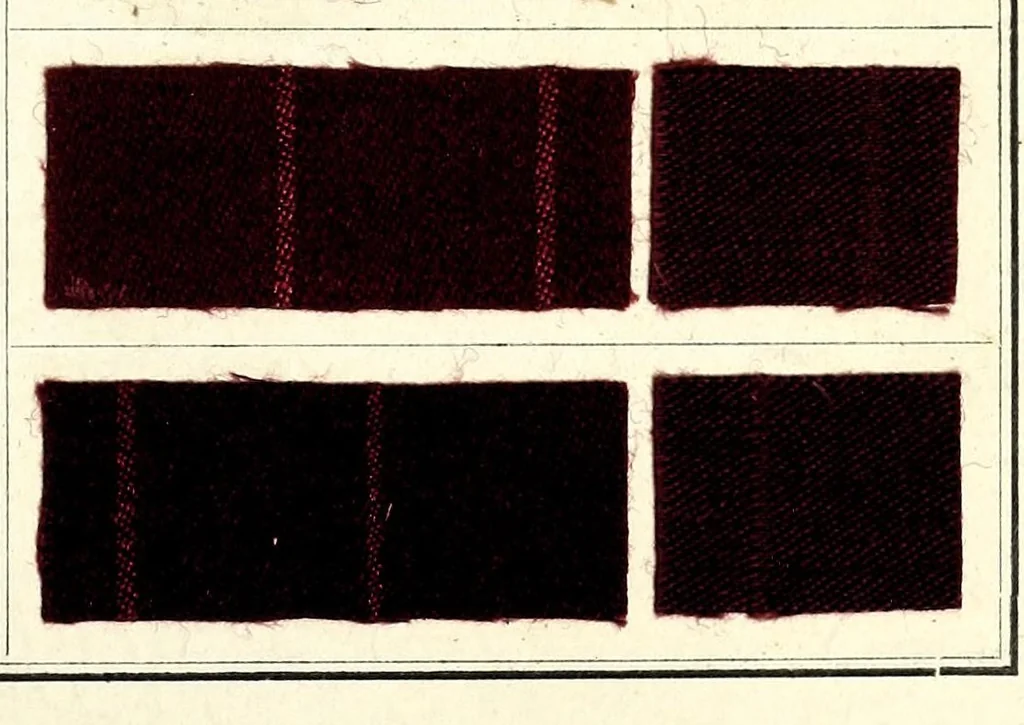 An illustration from Halbwollfarben für Kleiderfärber = Couleurs sur mi-laine pour teinturiers-dégraisseurs, 1910, leaf 5