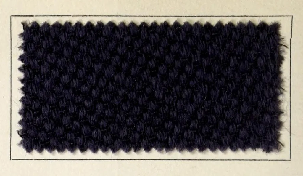 An illustration from Halbwollstoffe gefärbt mit Diaminechtfarben und Halbwollechtfarben : Spezialkarte H-W No. 2 = Union goods dyed with diamine fast colours and union fast colours : special card H-W no. 2, 1900, leaf 12