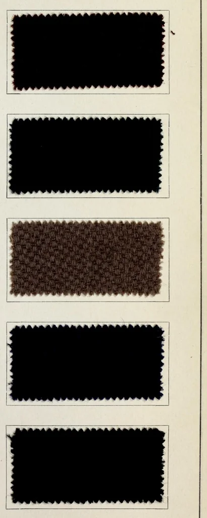 An illustration from Halbwollstoffe gefärbt mit Diaminechtfarben und Halbwollechtfarben : Spezialkarte H-W No. 2 = Union goods dyed with diamine fast colours and union fast colours : special card H-W no. 2, 1900, leaf 13