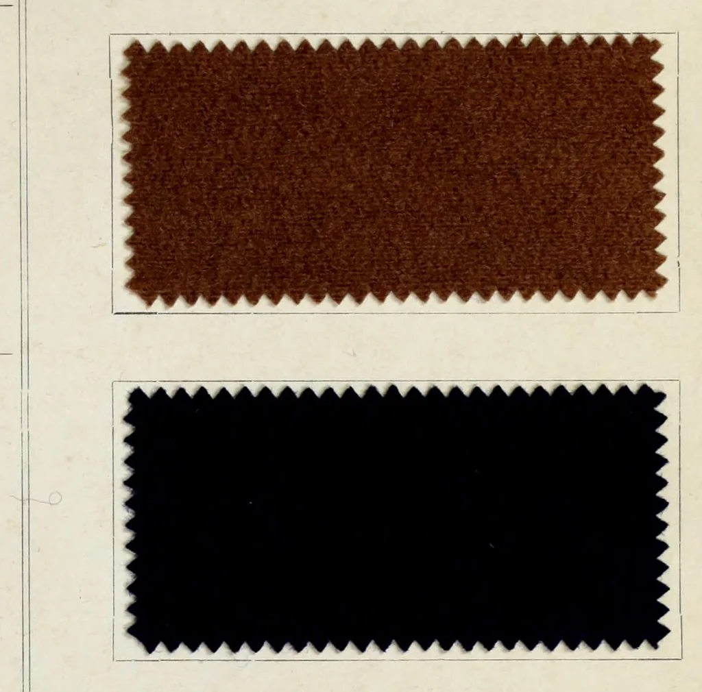 An illustration from Halbwollstoffe gefärbt mit Diaminechtfarben und Halbwollechtfarben : Spezialkarte H-W No. 2 = Union goods dyed with diamine fast colours and union fast colours : special card H-W no. 2, 1900, leaf 15