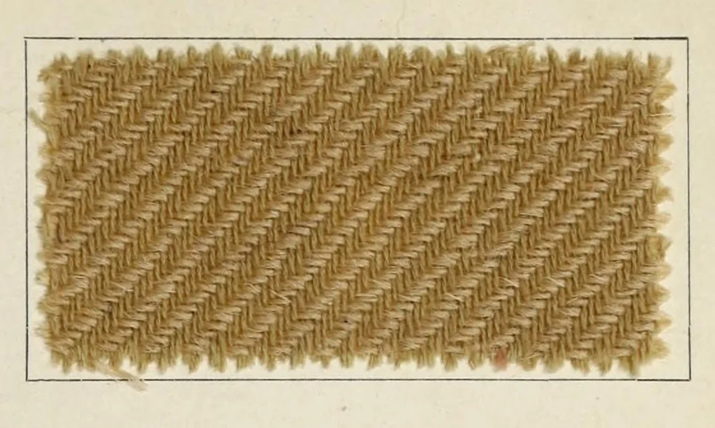 An illustration from Halbwollstoffe gefärbt mit Diaminechtfarben und Halbwollechtfarben : Spezialkarte H-W No. 2 = Union goods dyed with diamine fast colours and union fast colours : special card H-W no. 2, 1900, leaf 17