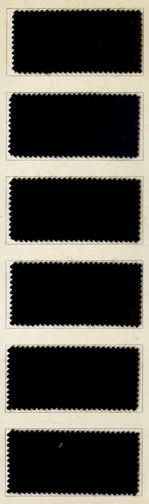 An illustration from Halbwollstoffe gefärbt mit Diaminechtfarben und Halbwollechtfarben : Spezialkarte H-W No. 2 = Union goods dyed with diamine fast colours and union fast colours : special card H-W no. 2, 1900, leaf 20