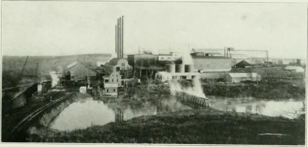 An illustration from A half century of Chicago building : a practical reference guide : all building laws and ordinances brought to date : historical, technical and statistical review of the construction and material development of America's inland metropolis, 1910, leaf 314