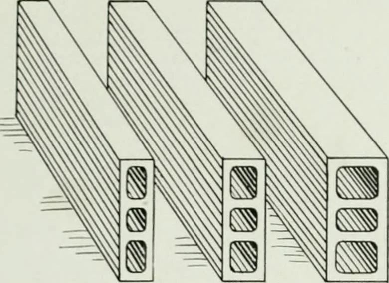 An illustration from A half century of Chicago building : a practical reference guide : all building laws and ordinances brought to date : historical, technical and statistical review of the construction and material development of America's inland metropolis, 1910, leaf 336