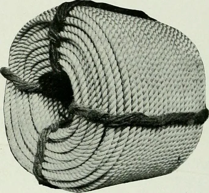 An illustration from A half century of Chicago building : a practical reference guide : all building laws and ordinances brought to date : historical, technical and statistical review of the construction and material development of America's inland metropolis, 1910, leaf 357