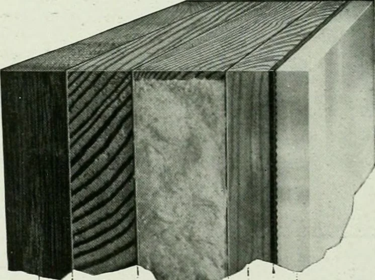 An illustration from A half century of Chicago building : a practical reference guide : all building laws and ordinances brought to date : historical, technical and statistical review of the construction and material development of America's inland metropolis, 1910, leaf 397