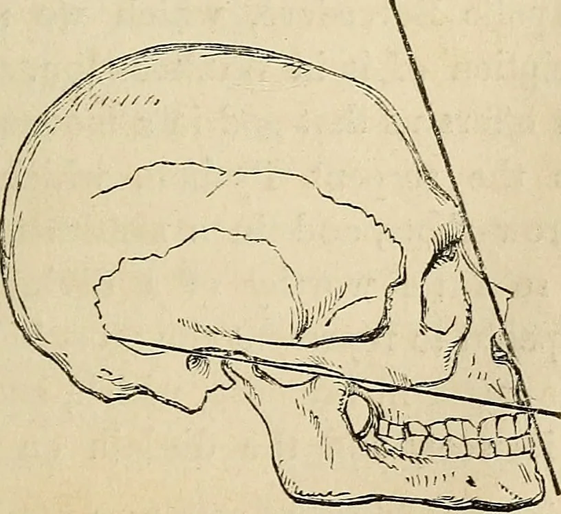 An illustration from Half-hour lectures on the history and practice of the fine and ornamental arts, 1861, leaf 332