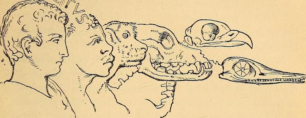 An illustration from Half-hour lectures on the history and practice of the fine and ornamental arts, 1875, leaf 335