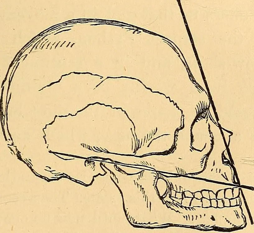An illustration from Half-hour lectures on the history and practice of the fine and ornamental arts, 1875, leaf 335