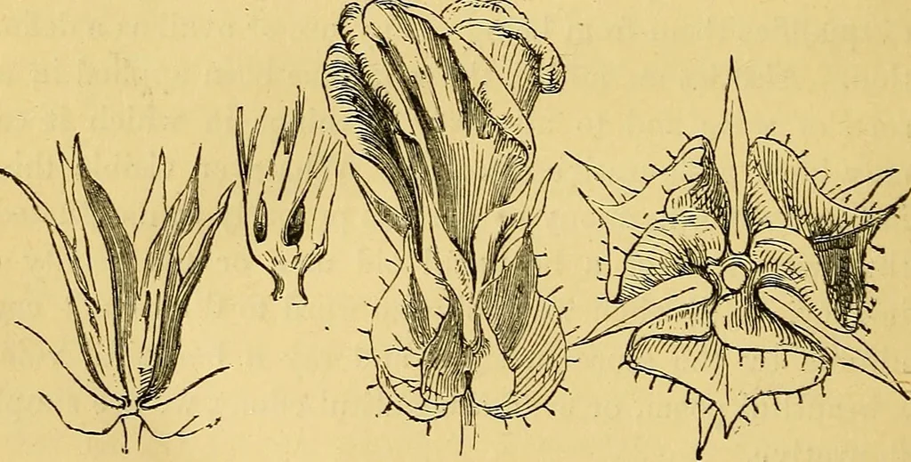 An illustration from Half-hour lectures on the history and practice of the fine and ornamental arts, 1875, leaf 370