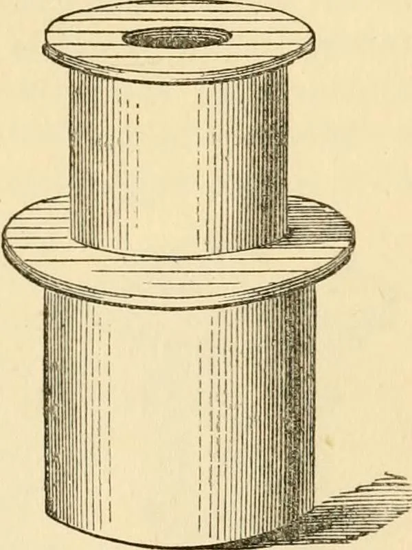 An illustration from Half-hours with the microscope; being a popular guide to the use of the microscope as a means of amusement and instruction, 1863, leaf 33