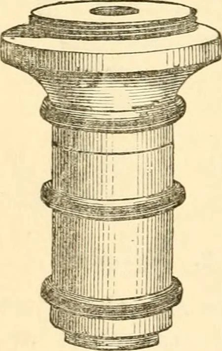 An illustration from Half-hours with the microscope; being a popular guide to the use of the microscope as a means of amusement and instruction, 1863, leaf 34