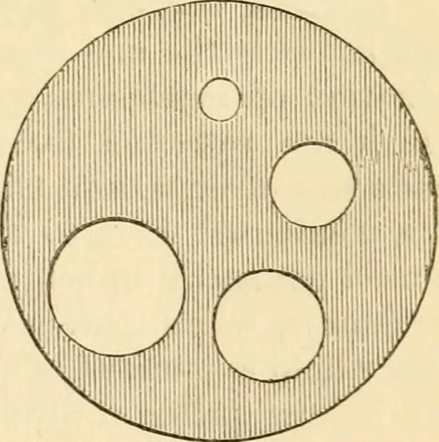 An illustration from Half-hours with the microscope; being a popular guide to the use of the microscope as a means of amusement and instruction, 1863, leaf 35